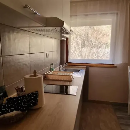 Apartmaji Medved, Brezplacno Parkiranje アパート リュブリャナ