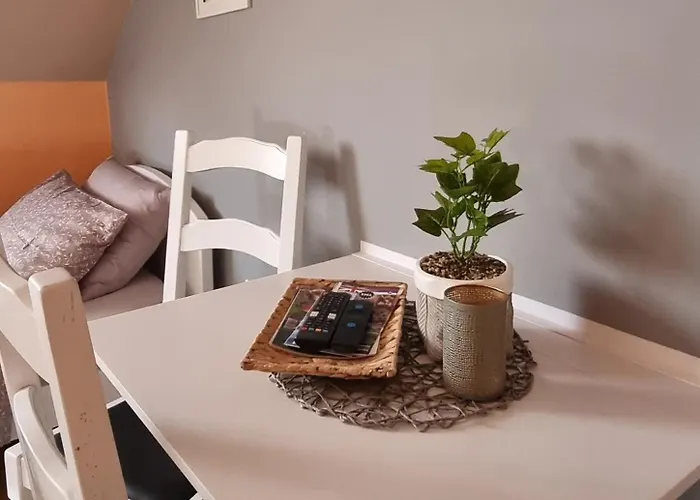 Apartmaji Medved, Brezplacno Parkiranje Apartman Ljubljana