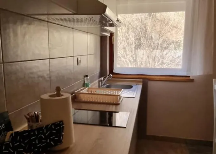 Apartmaji Medved, Brezplacno Parkiranje Apartman Ljubljana