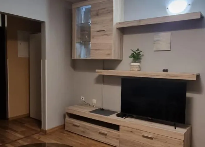 Apartmaji Medved, Brezplacno Parkiranje Διαμέρισμα *